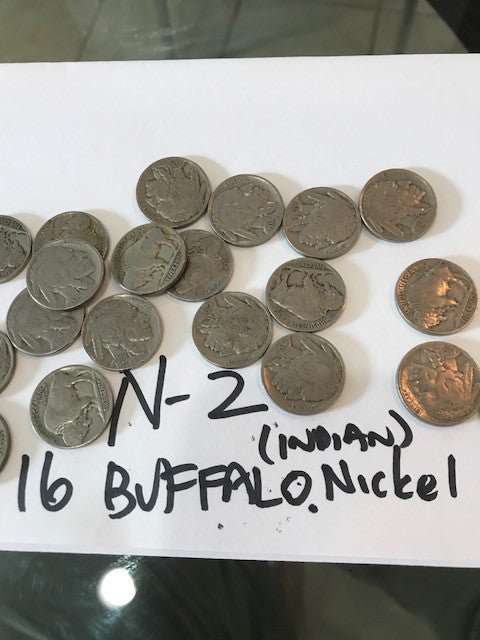 16 Buffalo Nickels with Visible Dates - US CoinSpot