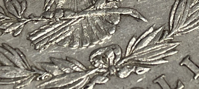 1878 scarce Vam 32 7/3 Tail Feathers VF+ great find! - US CoinSpot