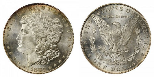 MORGAN SILVER DOLLAR - 1880 S - MS64