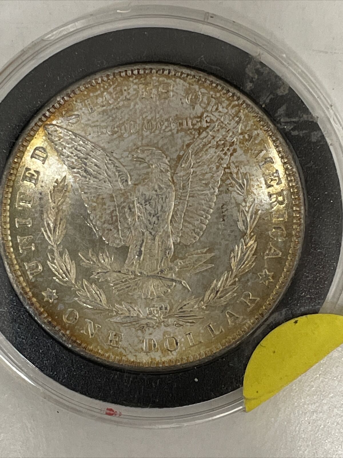 1882 Superior Gold Toned Unc Morgan (a 66?)Dollar Cartwheel PQ Free S&H PriceCut